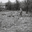 Pozbiera ete rodu