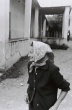 Pred miestnou krmou